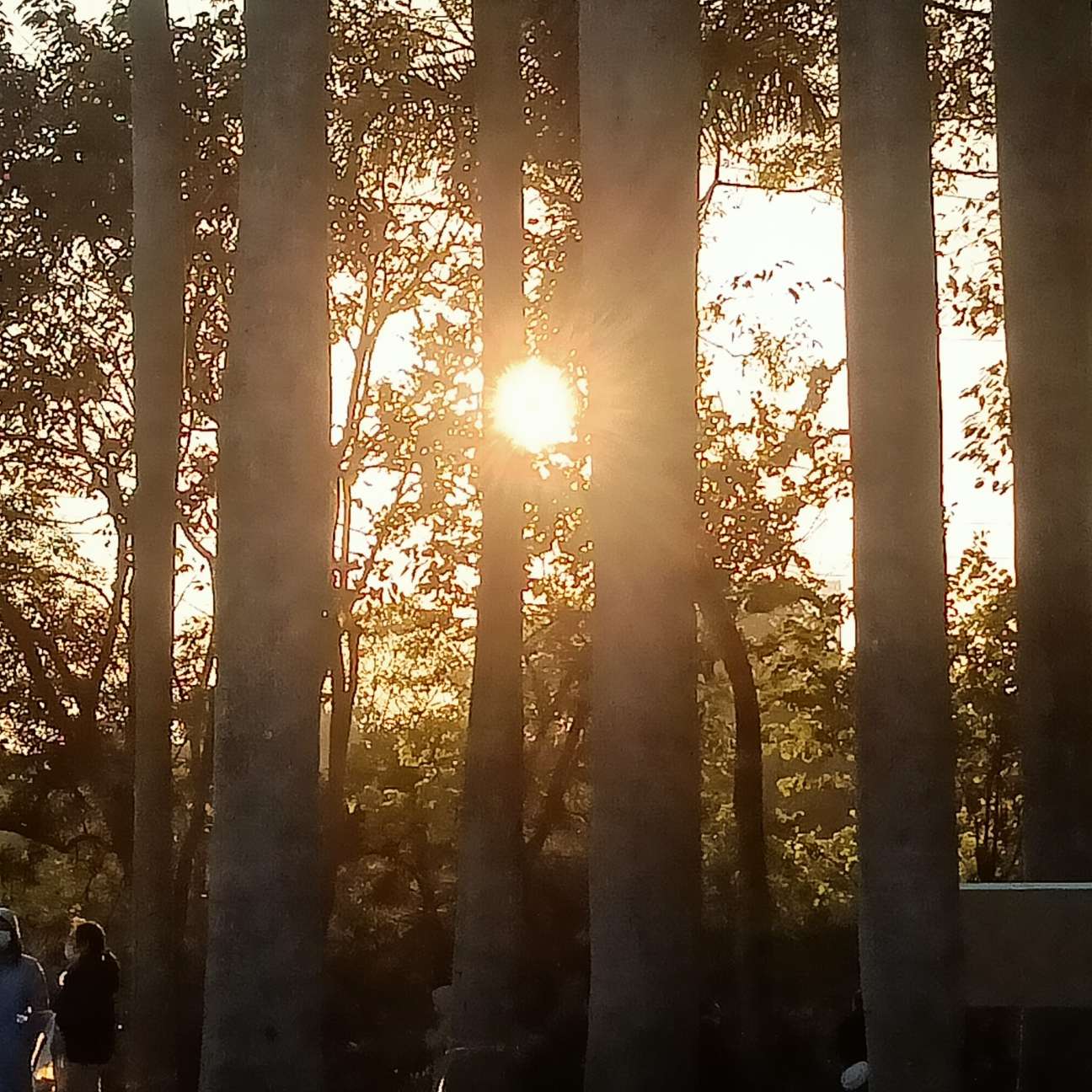 世界微尘里，吾宁爱与憎。