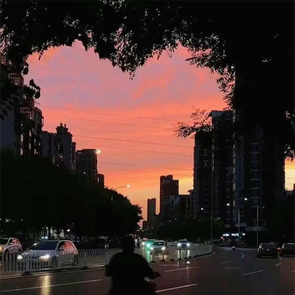 爱情