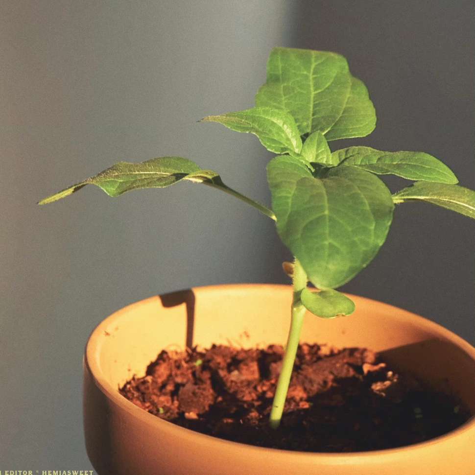 人间美好不可辜负