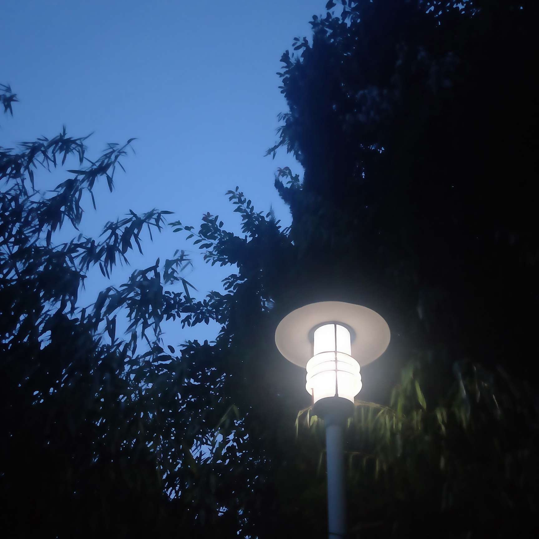 随随便便记录生活