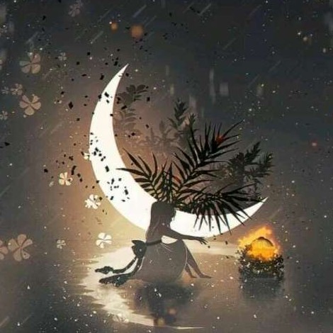 不渡清欢的专辑