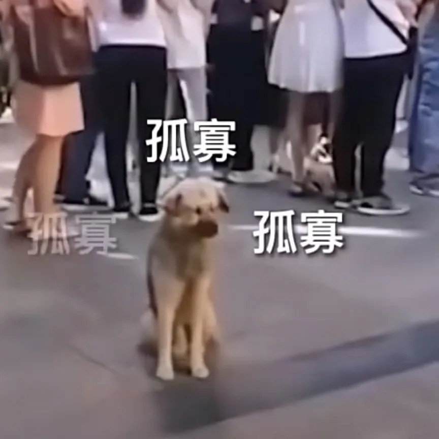 单身狗文案