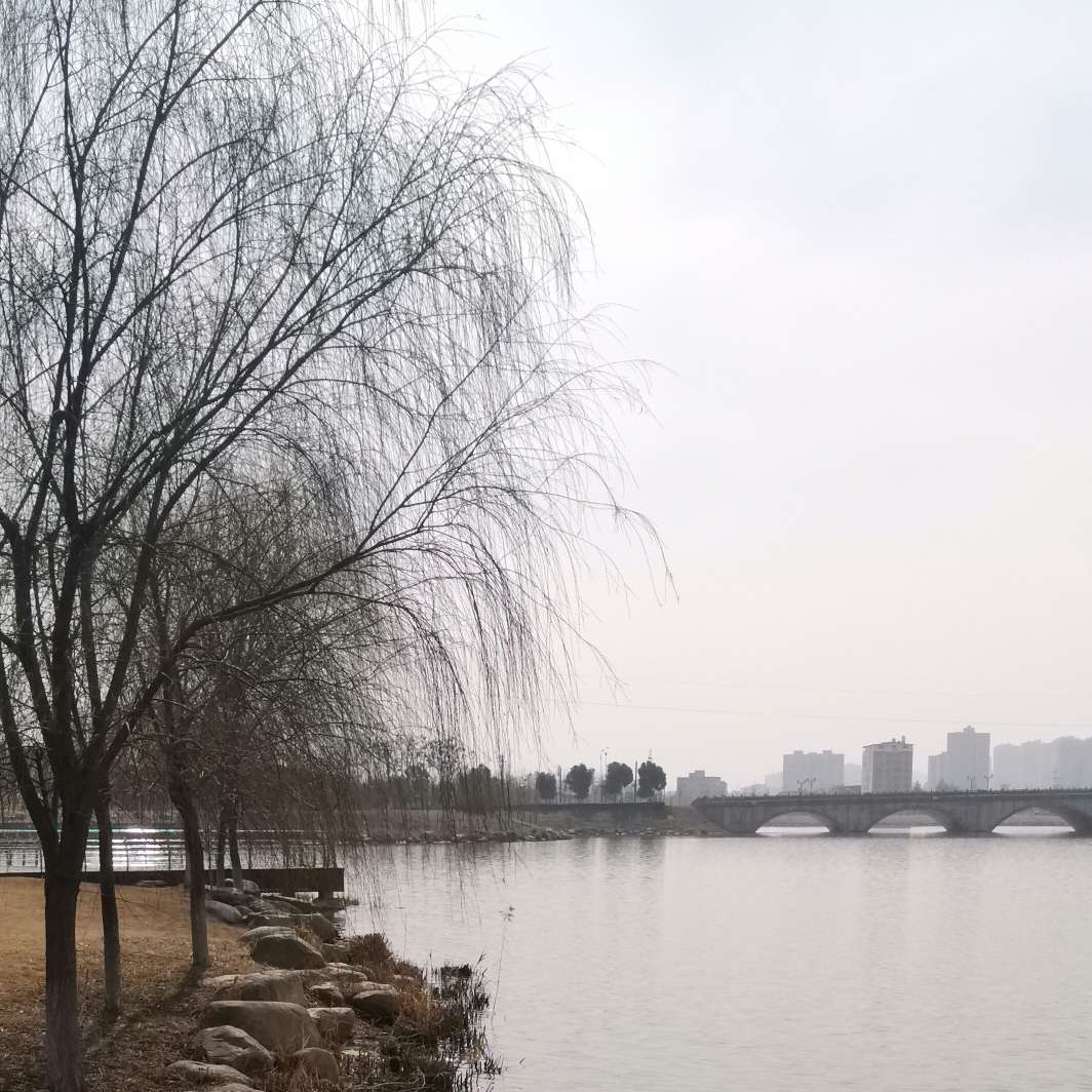 ⿰阅读浏览专辑☜