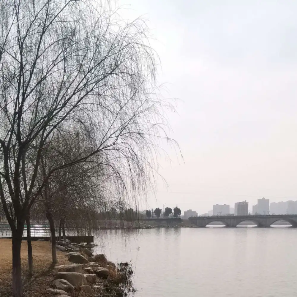⿰阅读浏览专辑☜