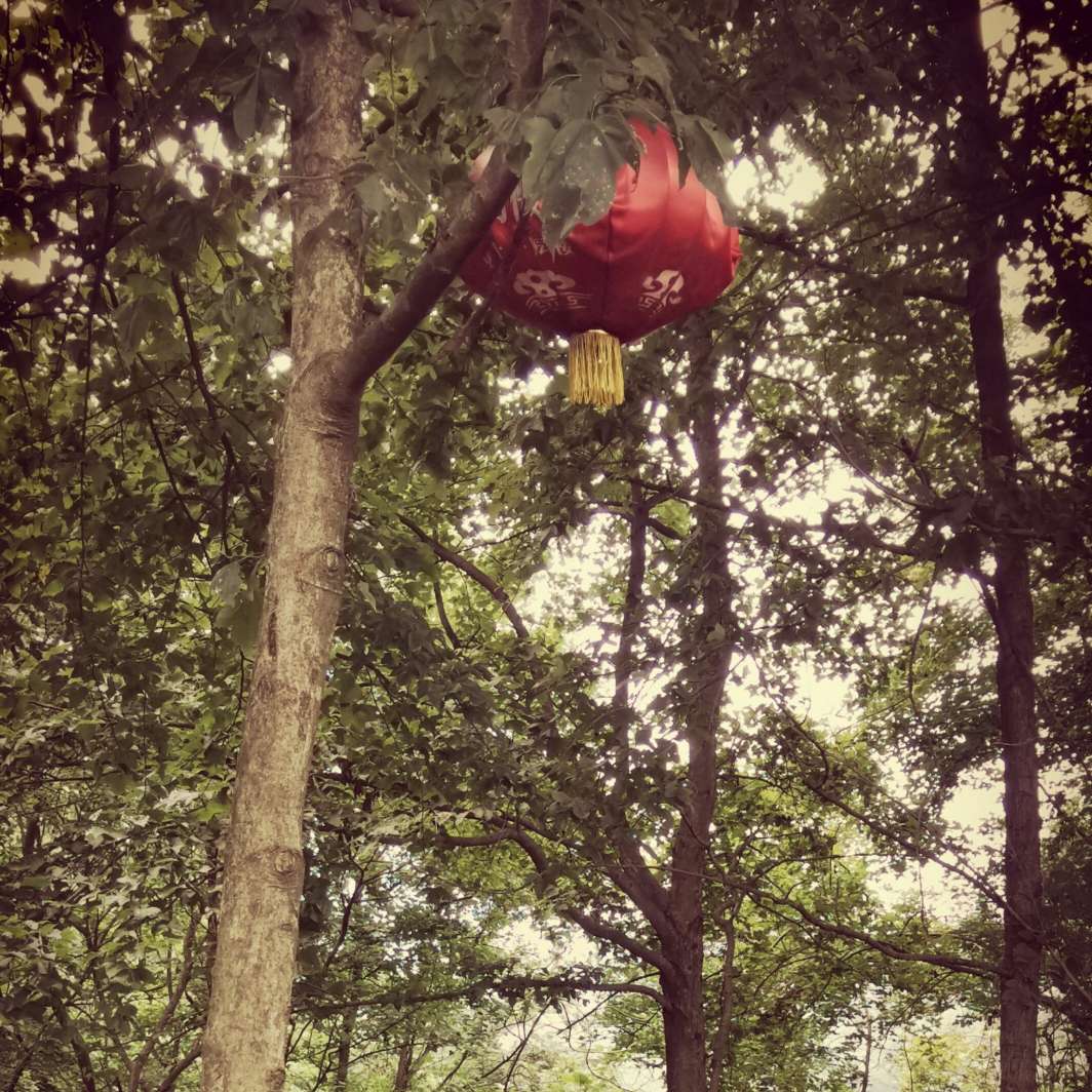 若如风尘✍原创专辑