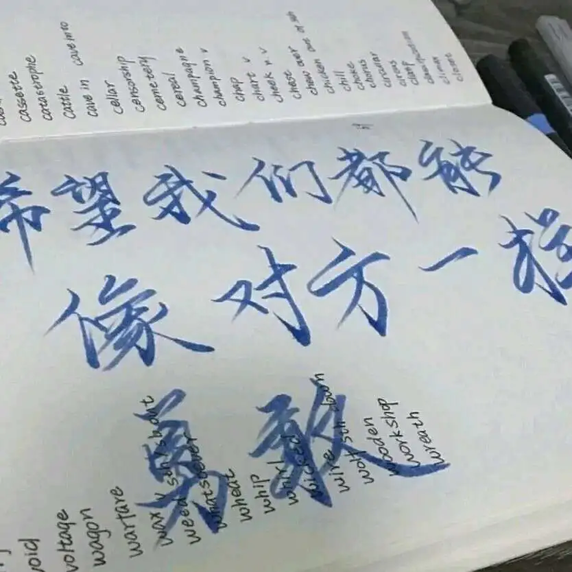 愿