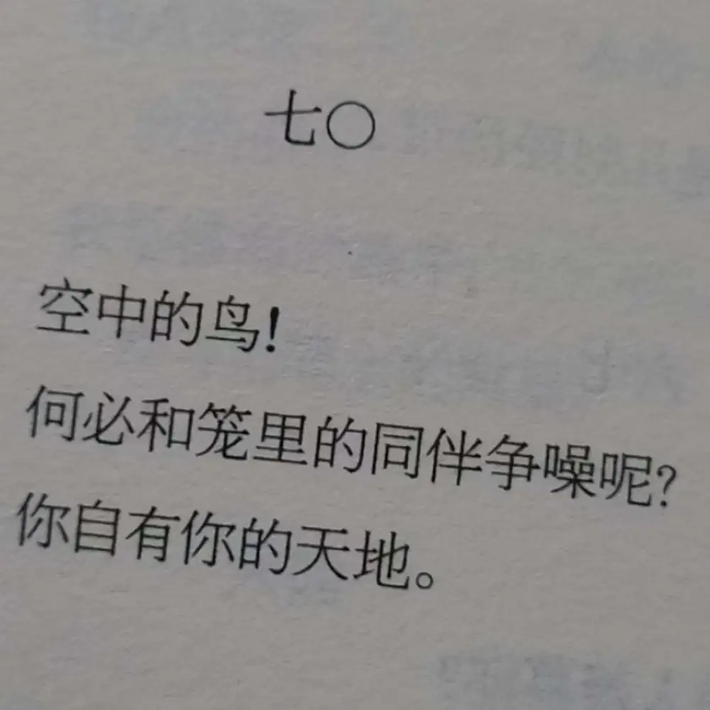 诗词