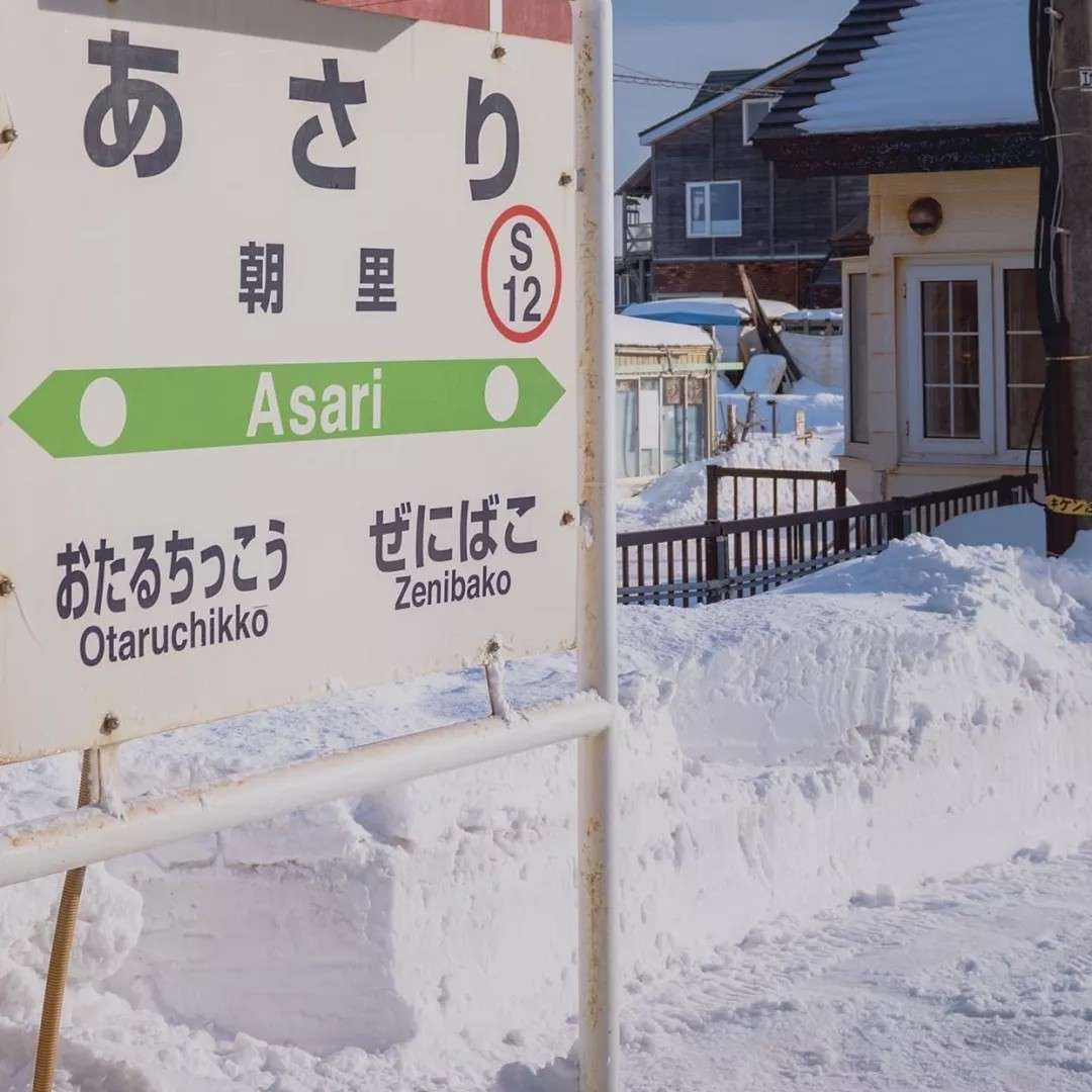 苏苏的奇妙世界