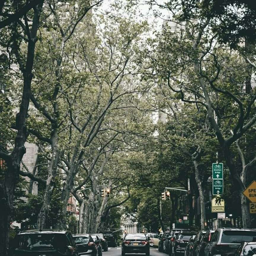 秋风起时，少年归来。银河战舰，扬飞起航。