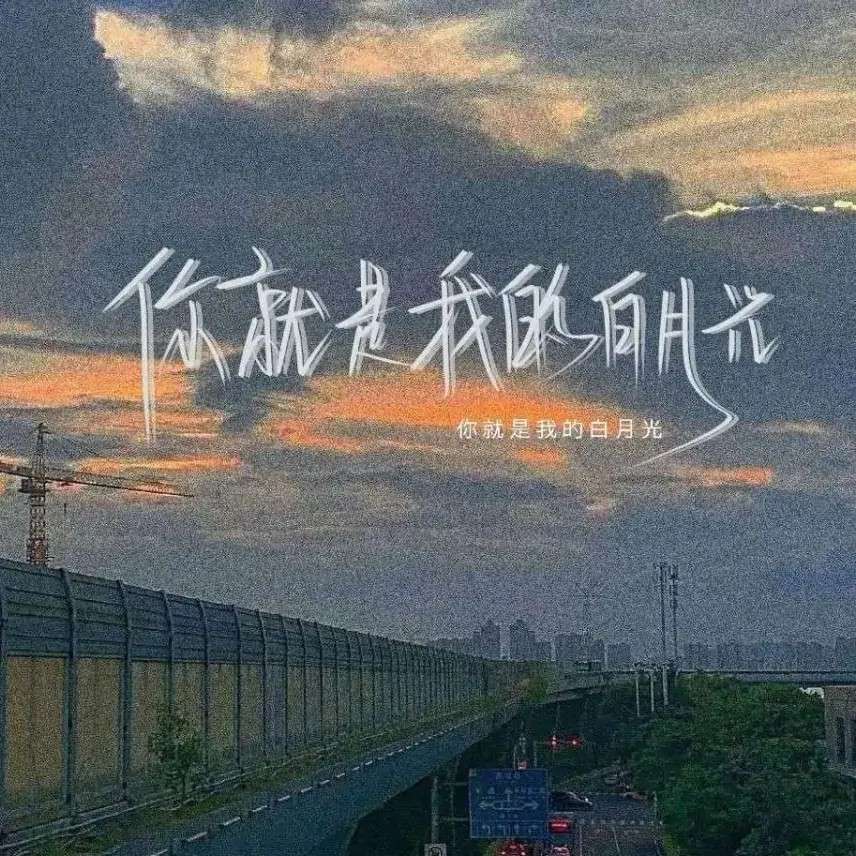 奔赴有你的远方