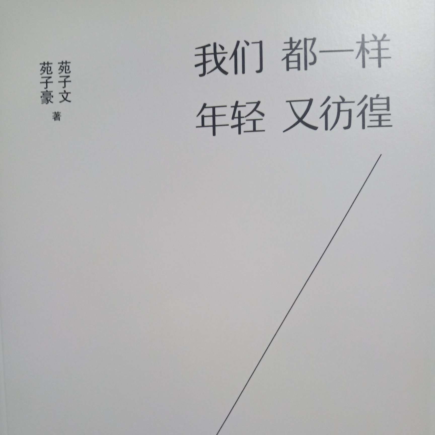 《我们都一样，年轻又彷徨》