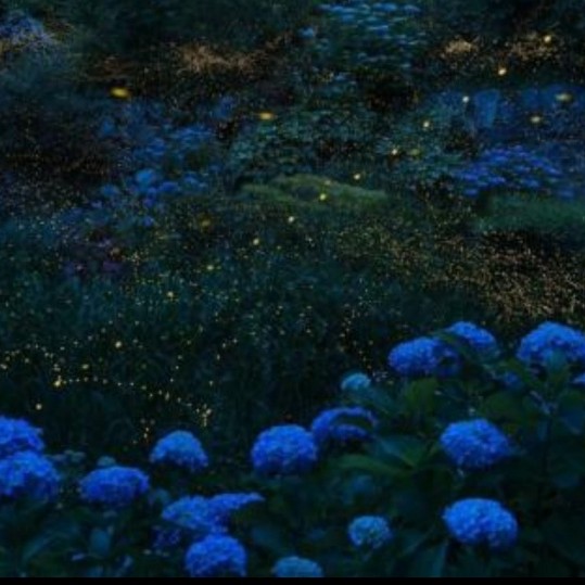 宫崎骏治愈语录