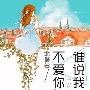 谁说我，不爱你