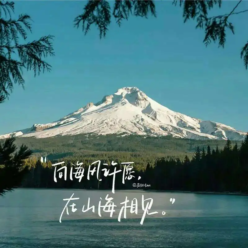 小说