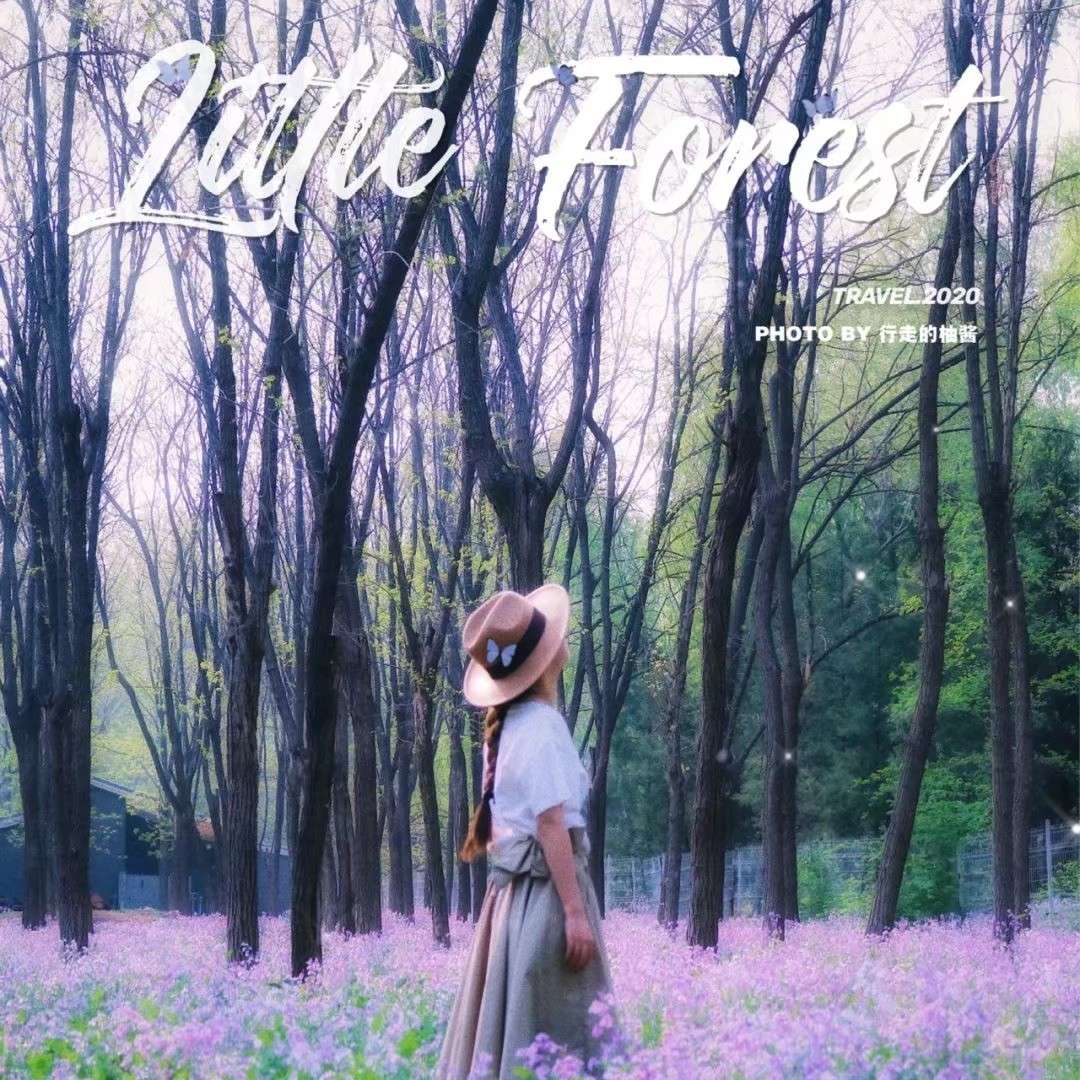 小朋友^O^的专辑