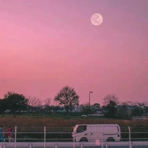 暗恋