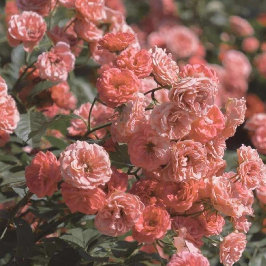 热爱漫无边际，生活自由分寸