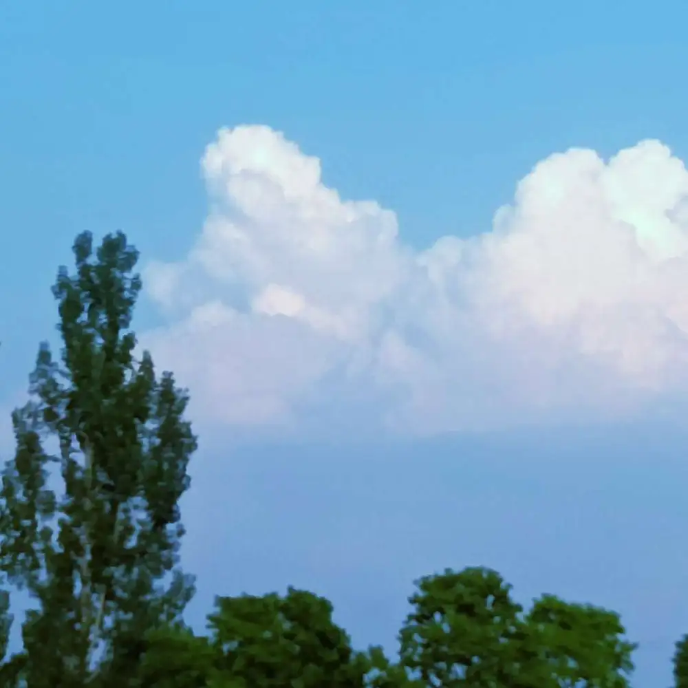 《为了养老婆我成了开国皇帝》