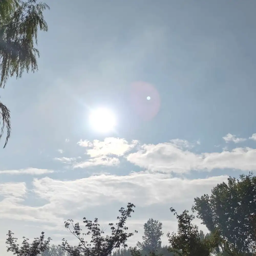 🍇🍇🍇要起飞了