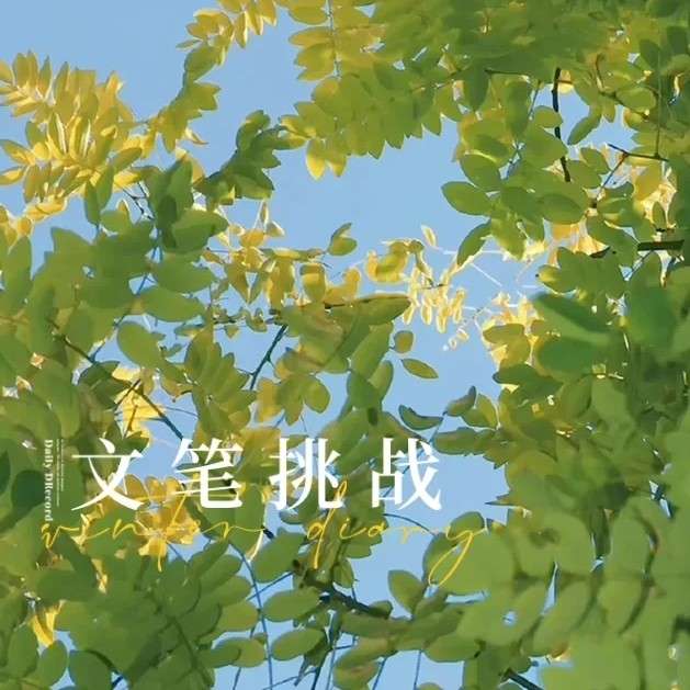 文笔挑战