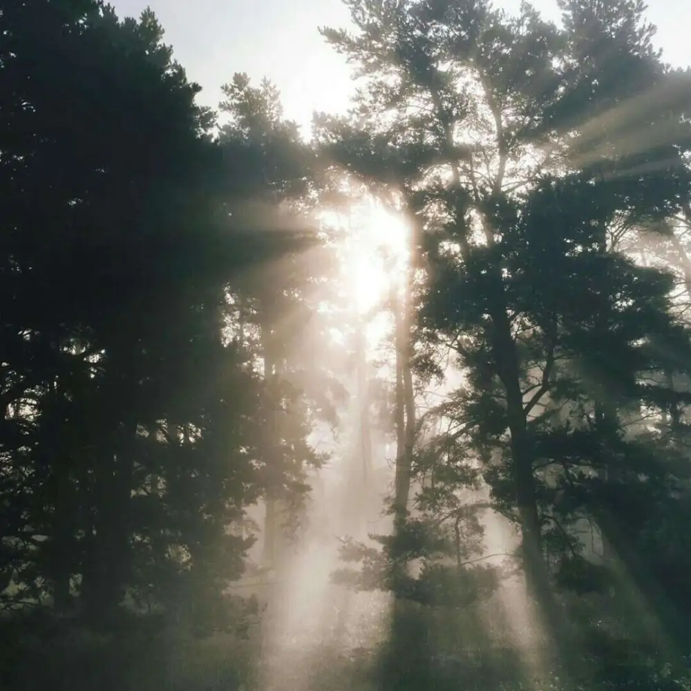 人生路☀