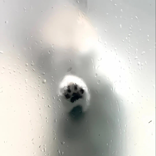 让人怦然心动的情话