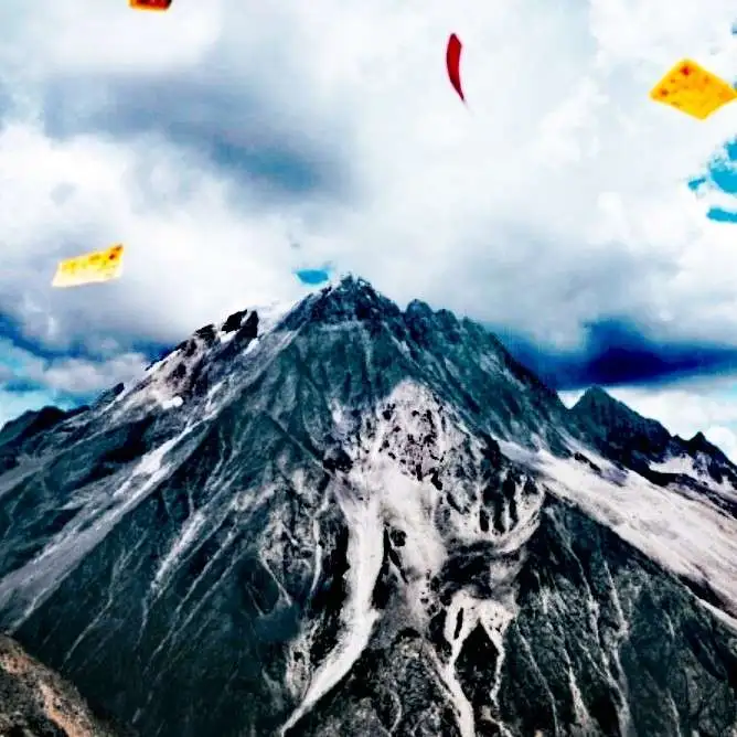 嗨越越酱的专辑