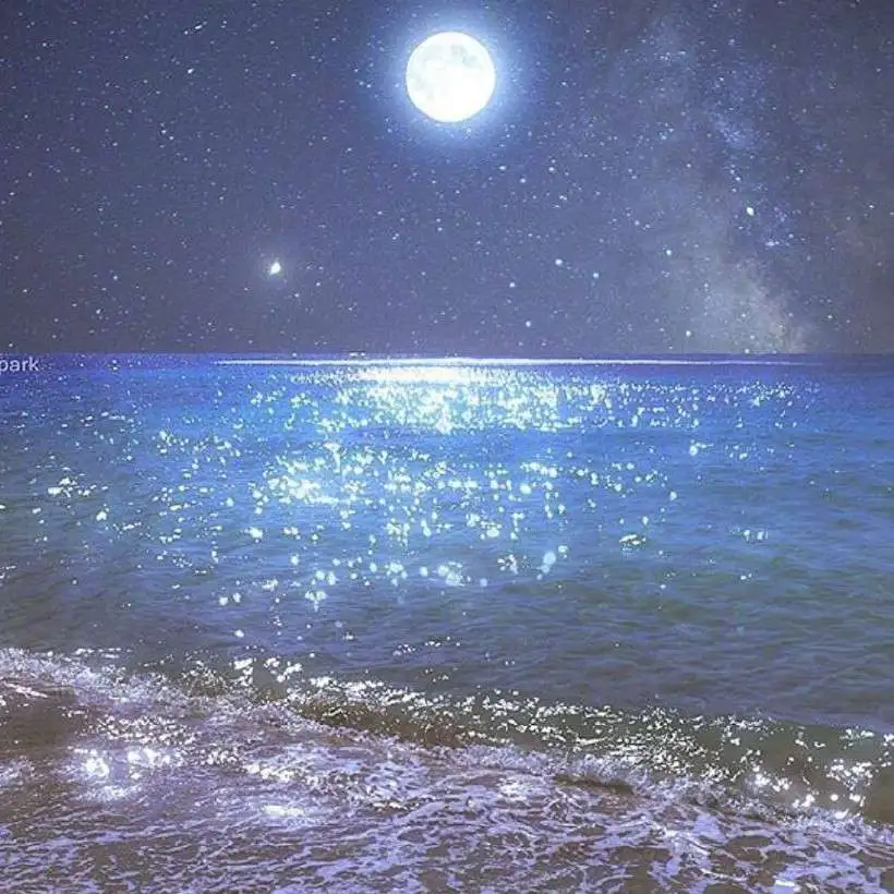 满天星