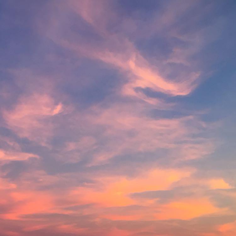 优美的小说摘抄语录