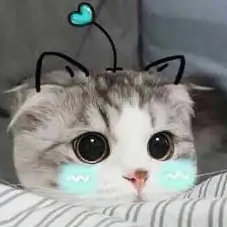 原创
