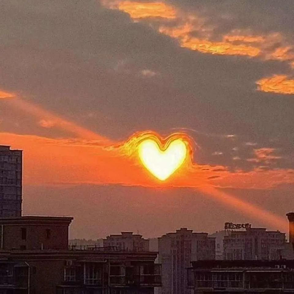 清欢