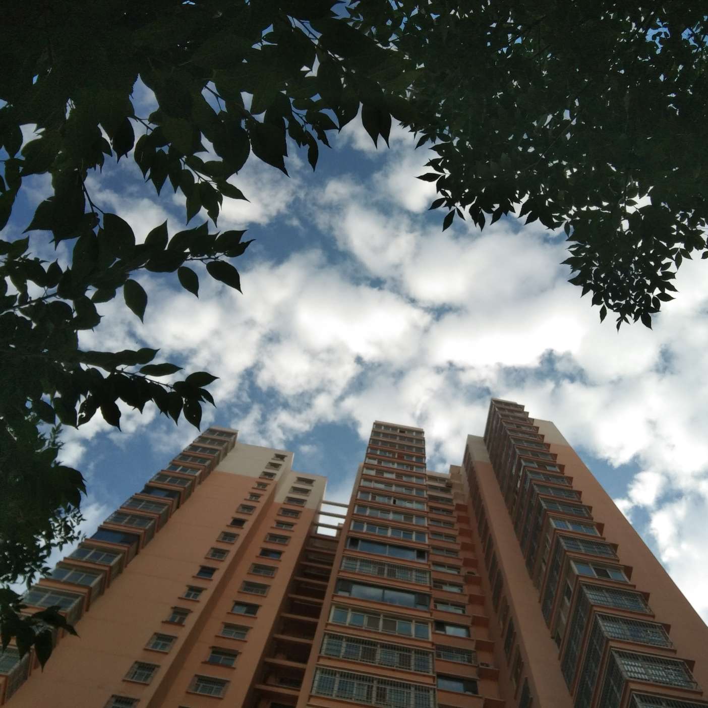 hyilbjm的专辑（未标明作者以及来处，是自己写的）