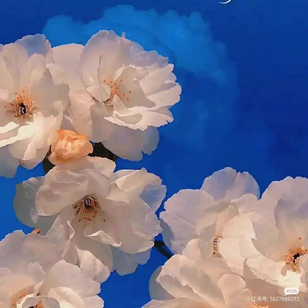 就像歌词所唱……