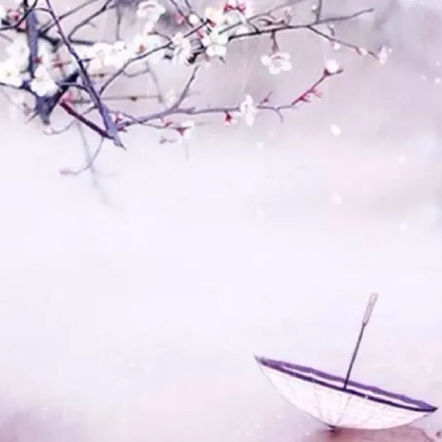 桃花之境