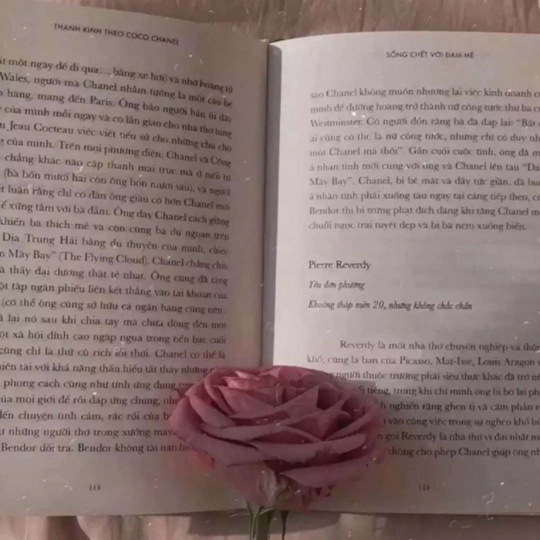 世事如书，我偏爱你这一句♡