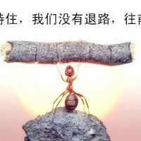 你满意现在的生活吗？