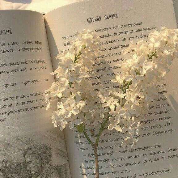 清璃♡的文案馆