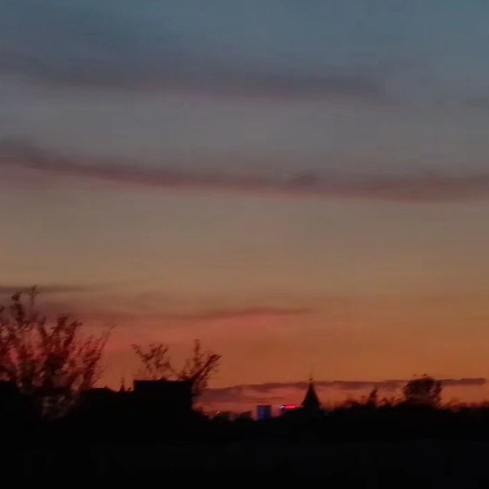 今朝星野摇坠的专辑