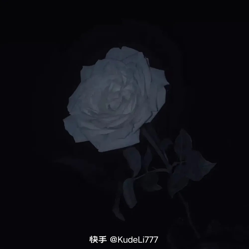ℳঞ໌້玫瑰少年꧔ꦿ᭄
