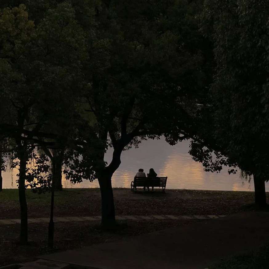 大萱子的专辑🌼