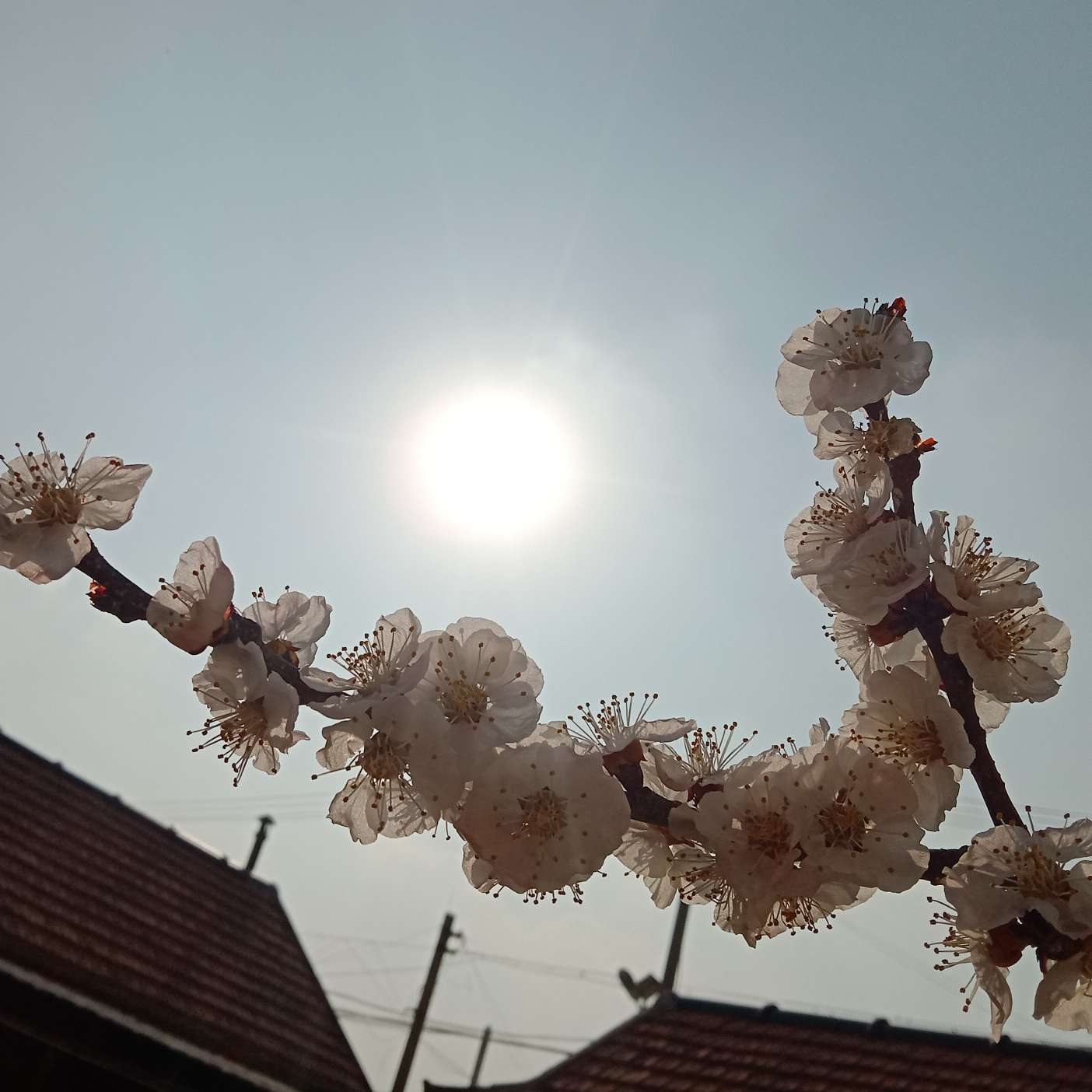 如何抹去你身影？