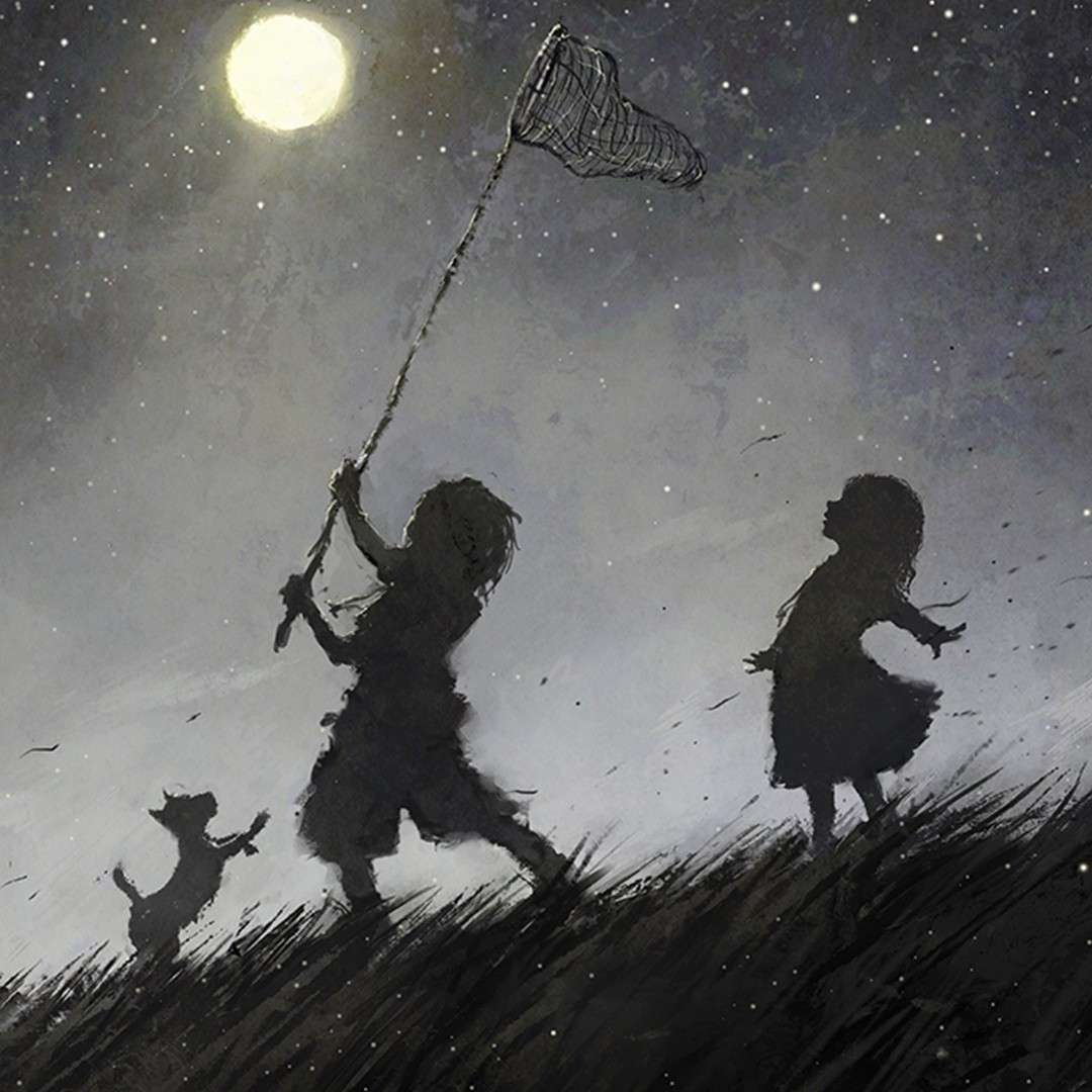 生如逆旅，一苇以航的专辑