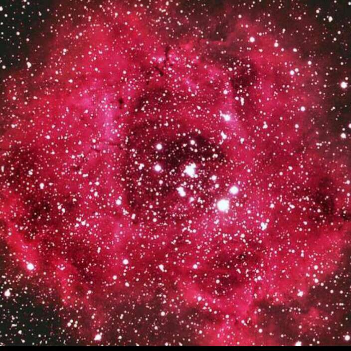 我只喜欢你的人设