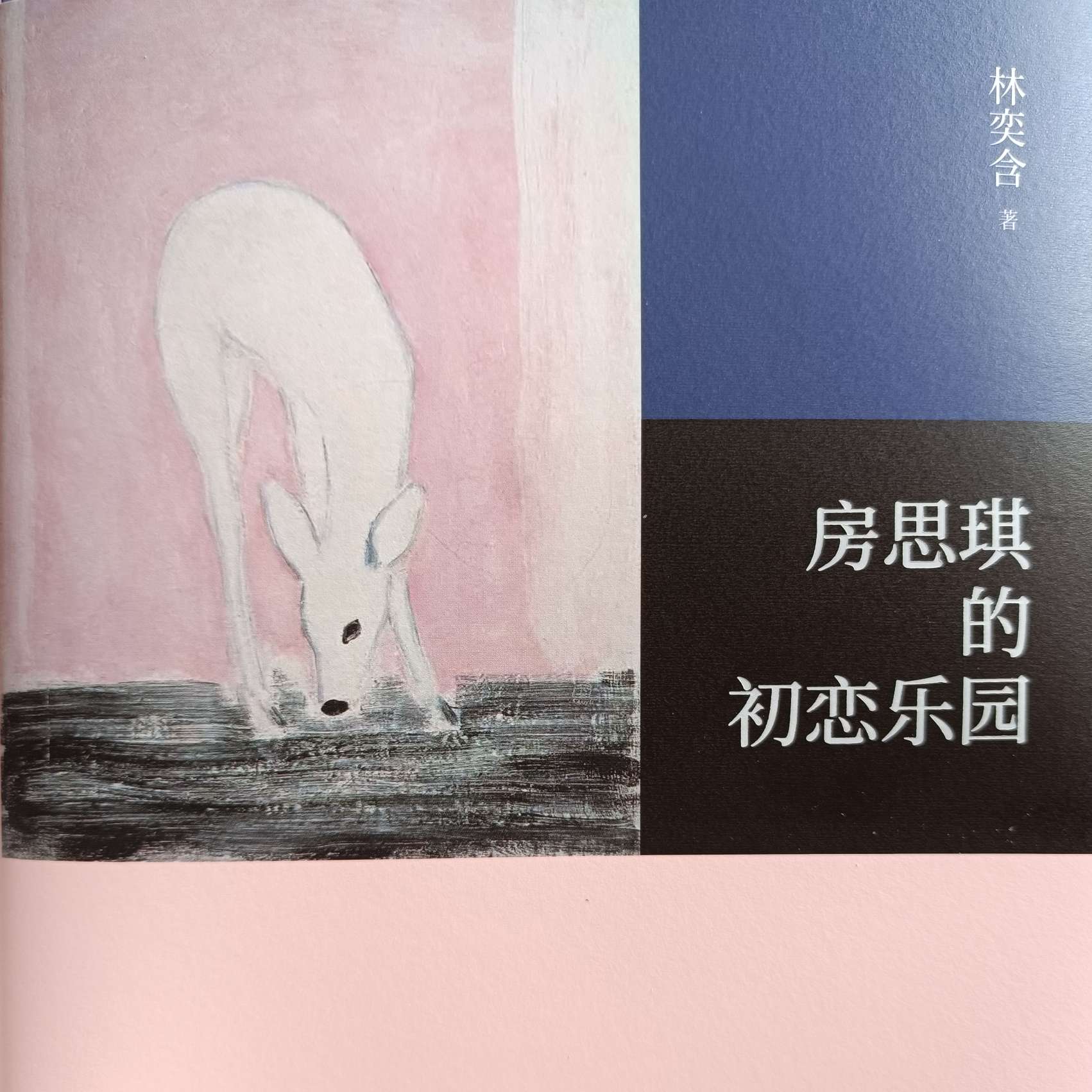 房思琪的初恋乐园