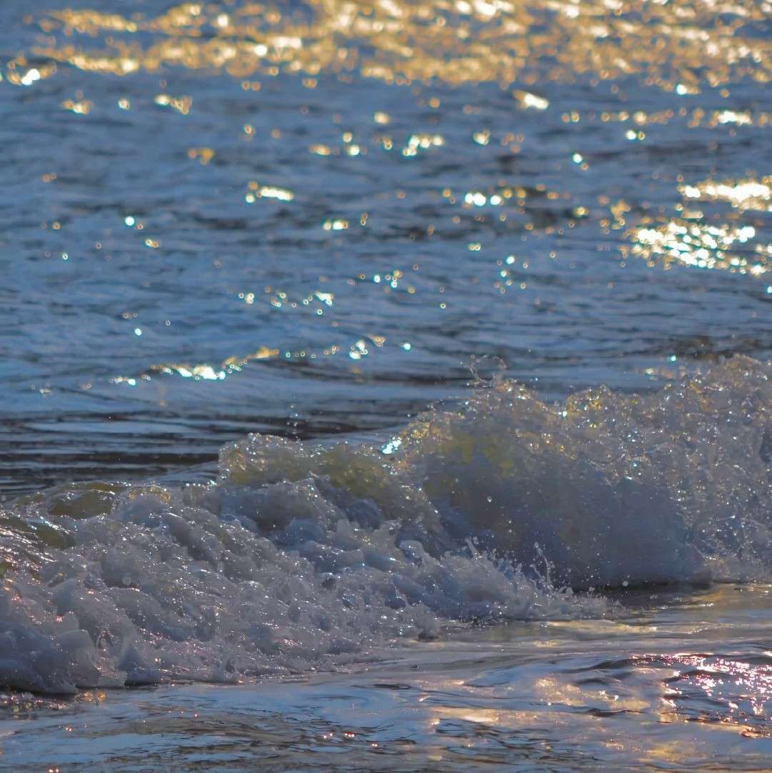 k i k i🌼的专辑