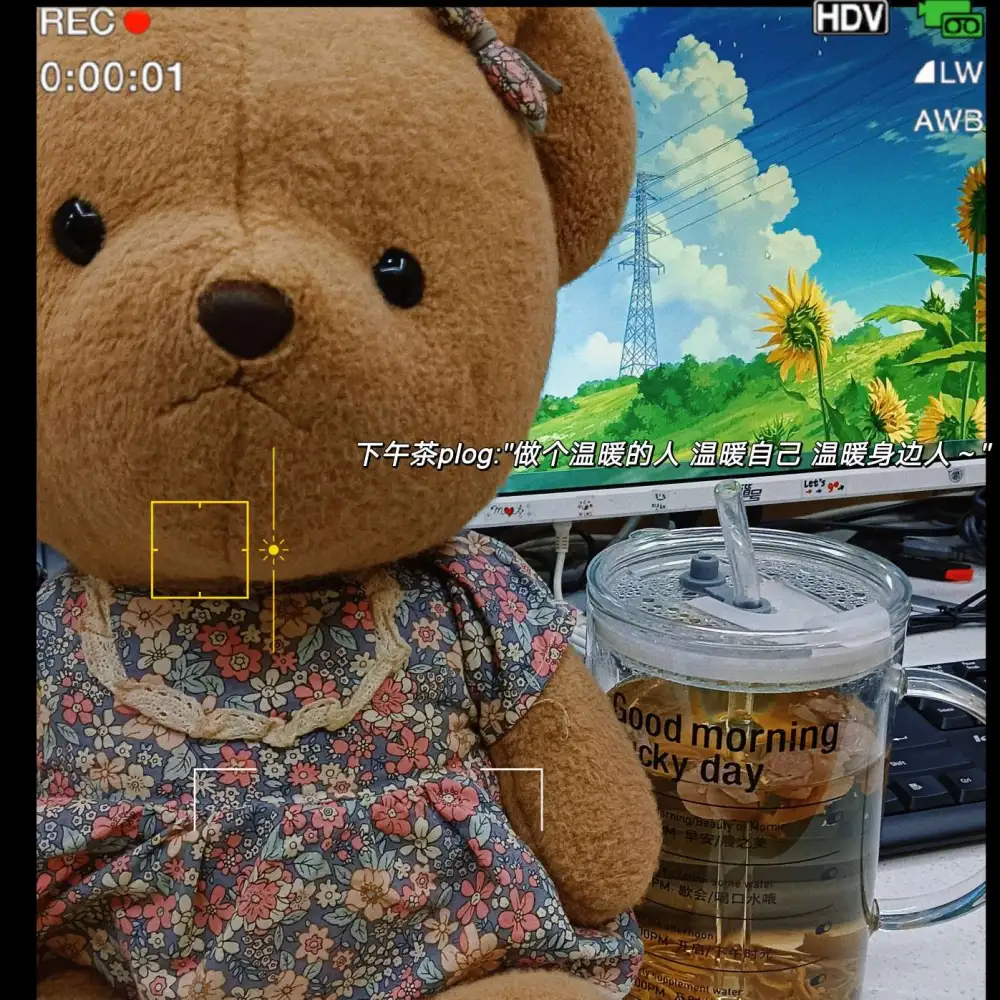 ʚʕ̯•͡˔•̯᷅ʔɞ的专辑