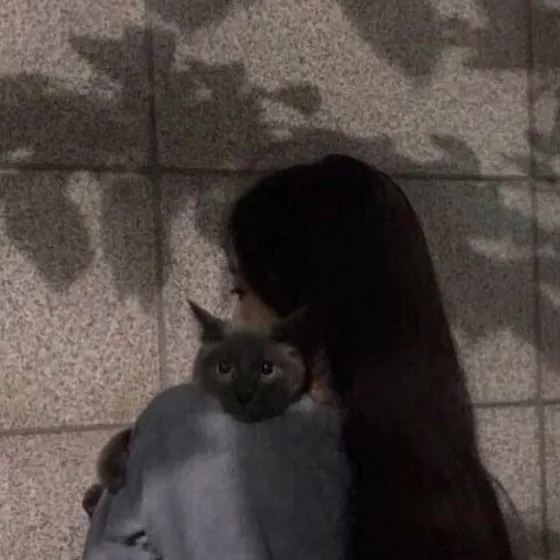 网名耶