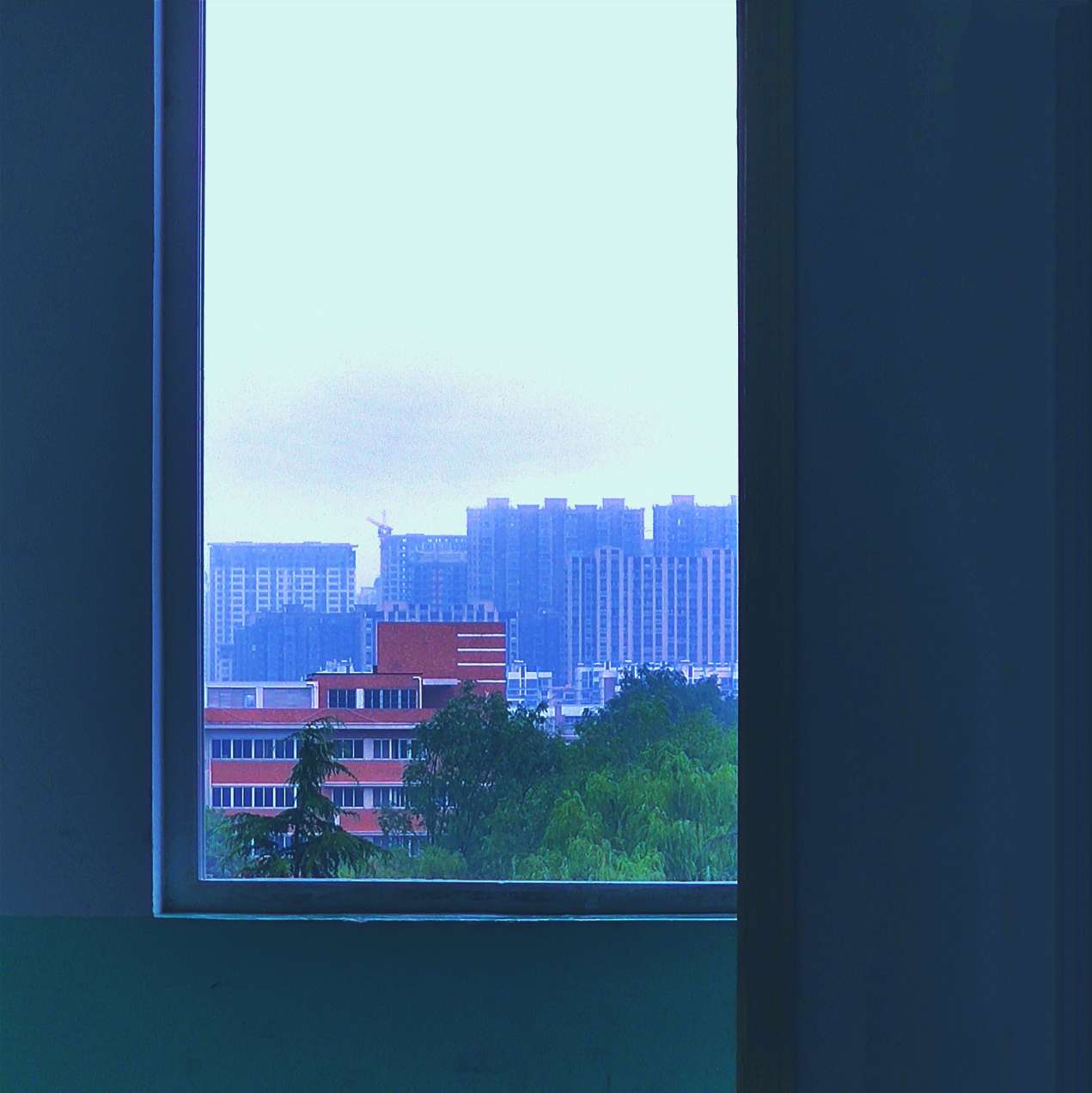 你总在离开后说再会，在再会时离开