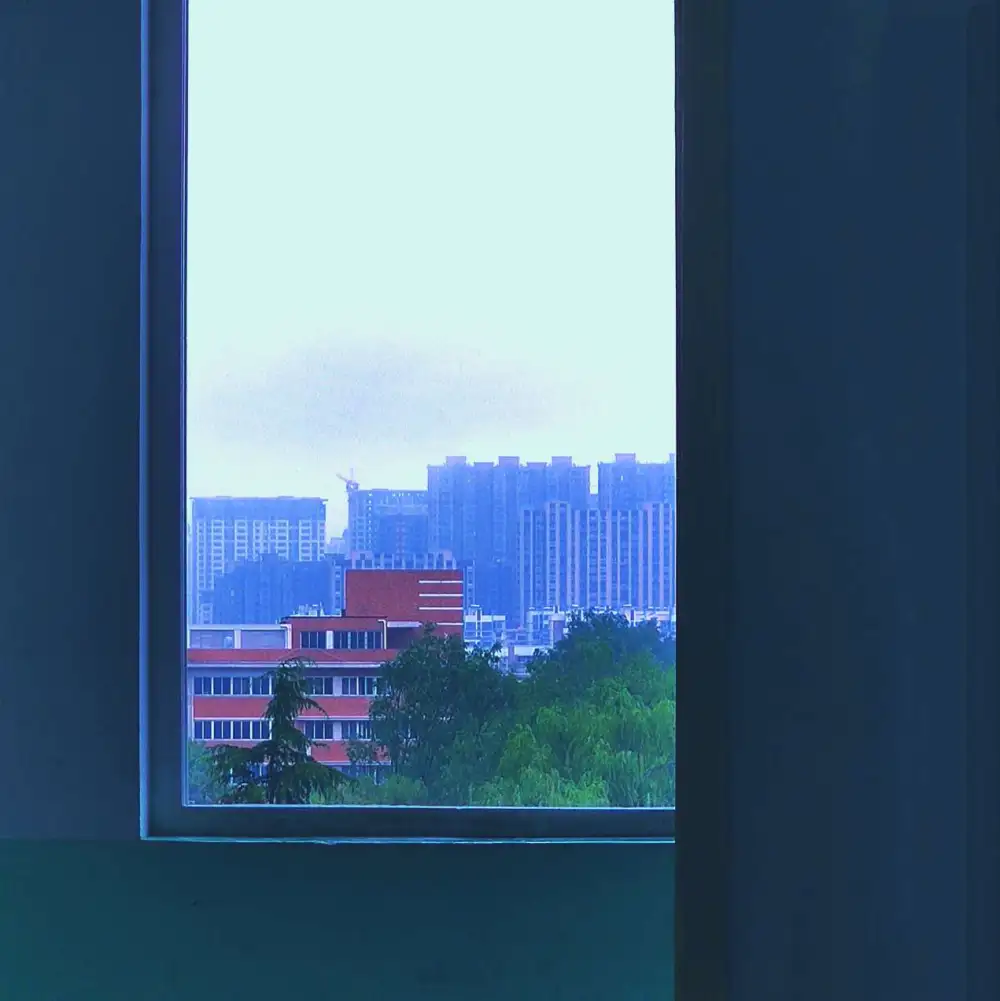 你总在离开后说再会，在再会时离开