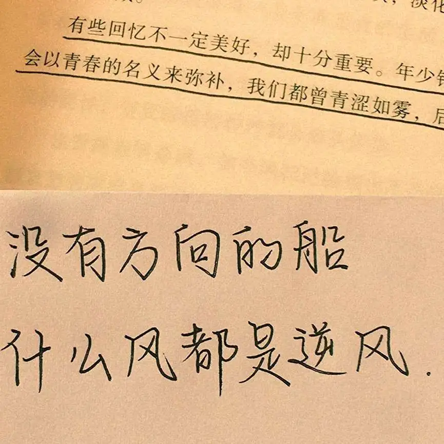 蔠敗的专辑